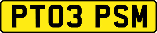 PT03PSM