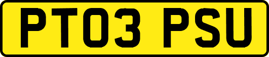 PT03PSU