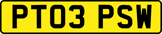 PT03PSW
