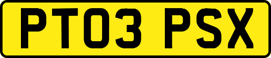 PT03PSX