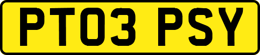 PT03PSY