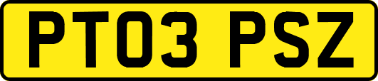 PT03PSZ
