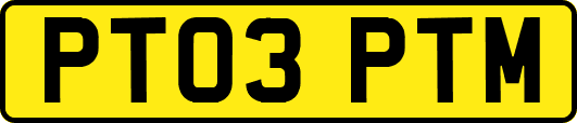 PT03PTM