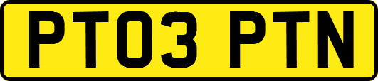 PT03PTN
