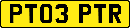 PT03PTR