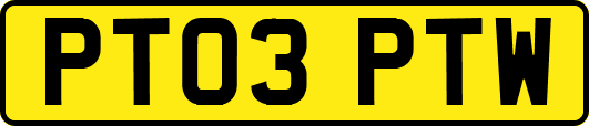 PT03PTW