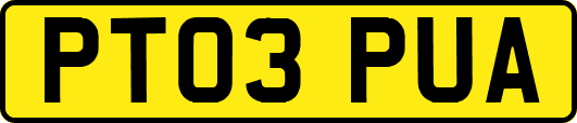 PT03PUA