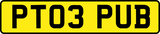 PT03PUB