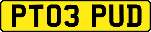 PT03PUD