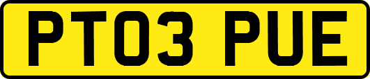 PT03PUE