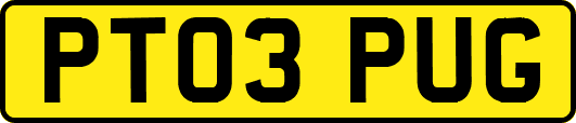 PT03PUG