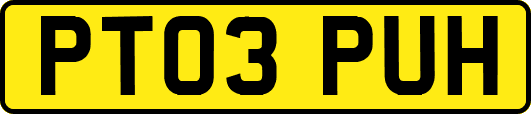 PT03PUH