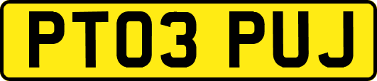 PT03PUJ