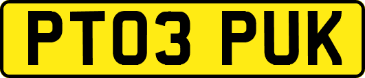 PT03PUK