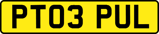 PT03PUL