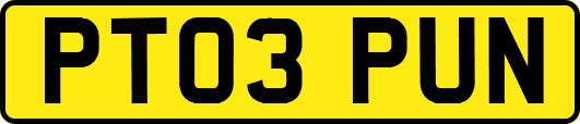 PT03PUN