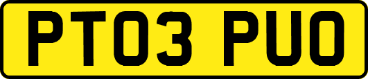 PT03PUO