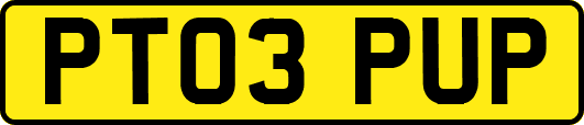 PT03PUP