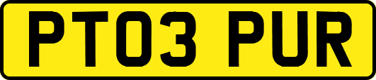 PT03PUR