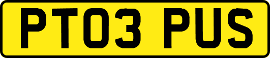 PT03PUS