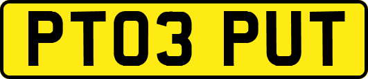 PT03PUT