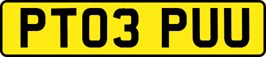 PT03PUU