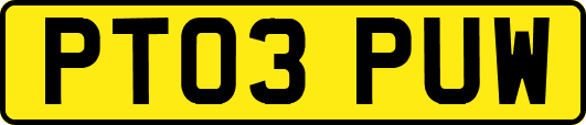 PT03PUW