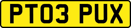 PT03PUX