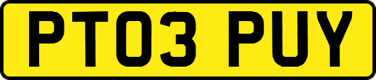 PT03PUY
