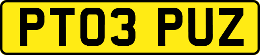 PT03PUZ