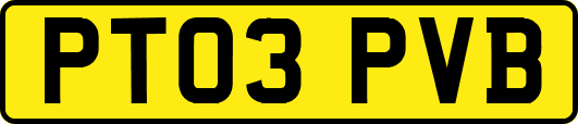 PT03PVB