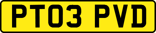 PT03PVD