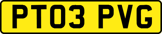 PT03PVG
