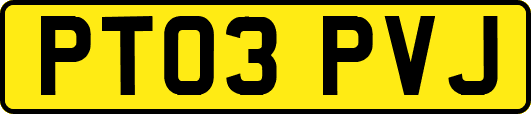 PT03PVJ