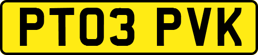 PT03PVK