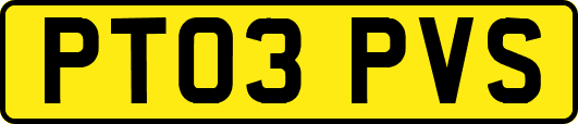 PT03PVS