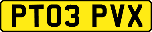 PT03PVX