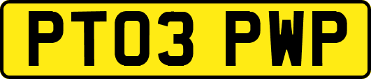 PT03PWP