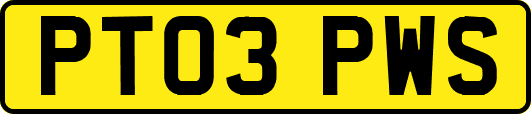 PT03PWS
