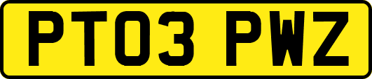 PT03PWZ