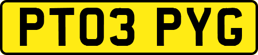 PT03PYG