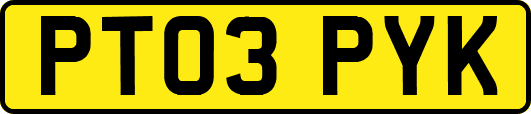 PT03PYK