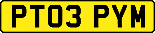 PT03PYM