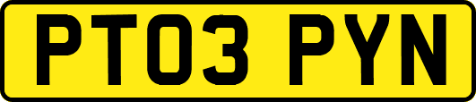 PT03PYN