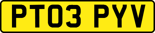 PT03PYV