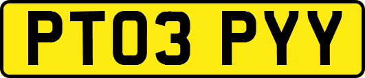 PT03PYY