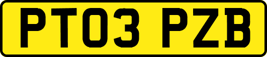 PT03PZB