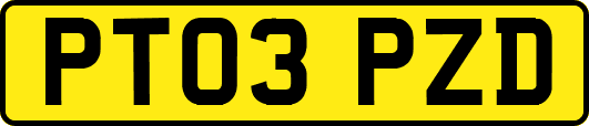 PT03PZD