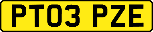 PT03PZE