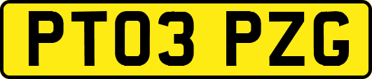 PT03PZG